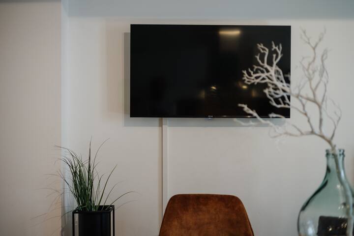 Plochá obrazovka so službou Netflix a ďalšími.