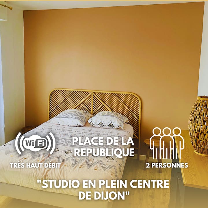 Appartement Studio Dijon Centre République - Dijon