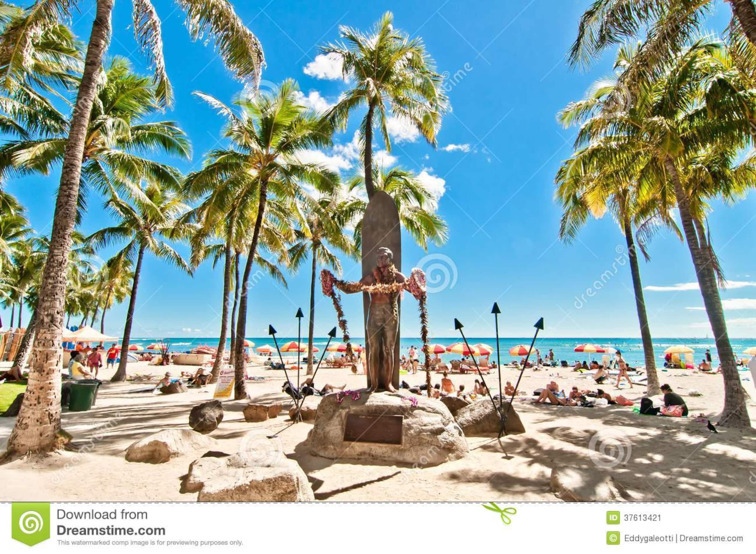 Condo By The Beach - Great Location! - Image 44