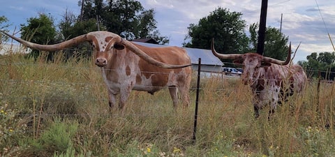 The Longhorn Lodge