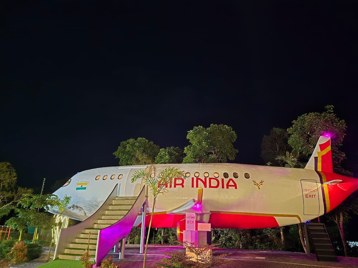 A vintage airplane, prominently branded with the Air India insignia, is set amid lush greenery. Illuminated by purple and white lights, the aircraft features external stairs leading to the entrance. The serene night sky enhances the striking visual of this unique accommodation.