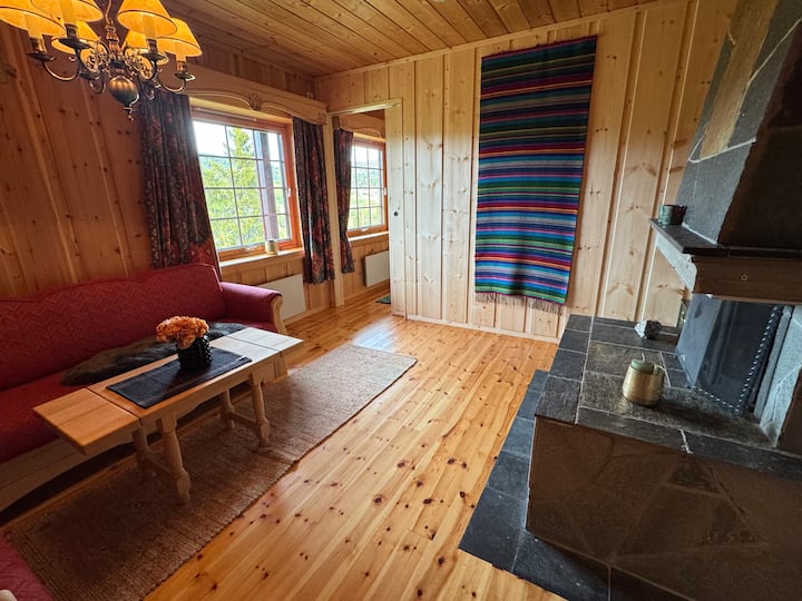 sala de estar con chimenea y sofá cama. 