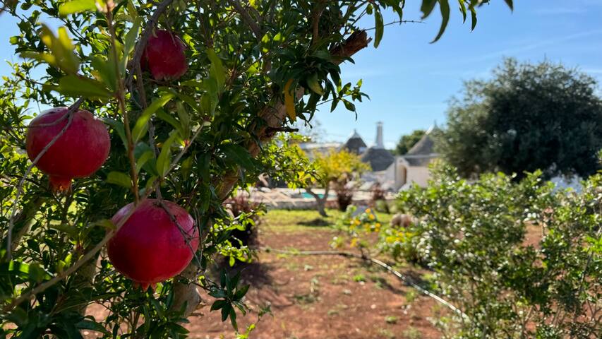 Stylish Trullo with Private Pool & Modern Comforts gallery image 4