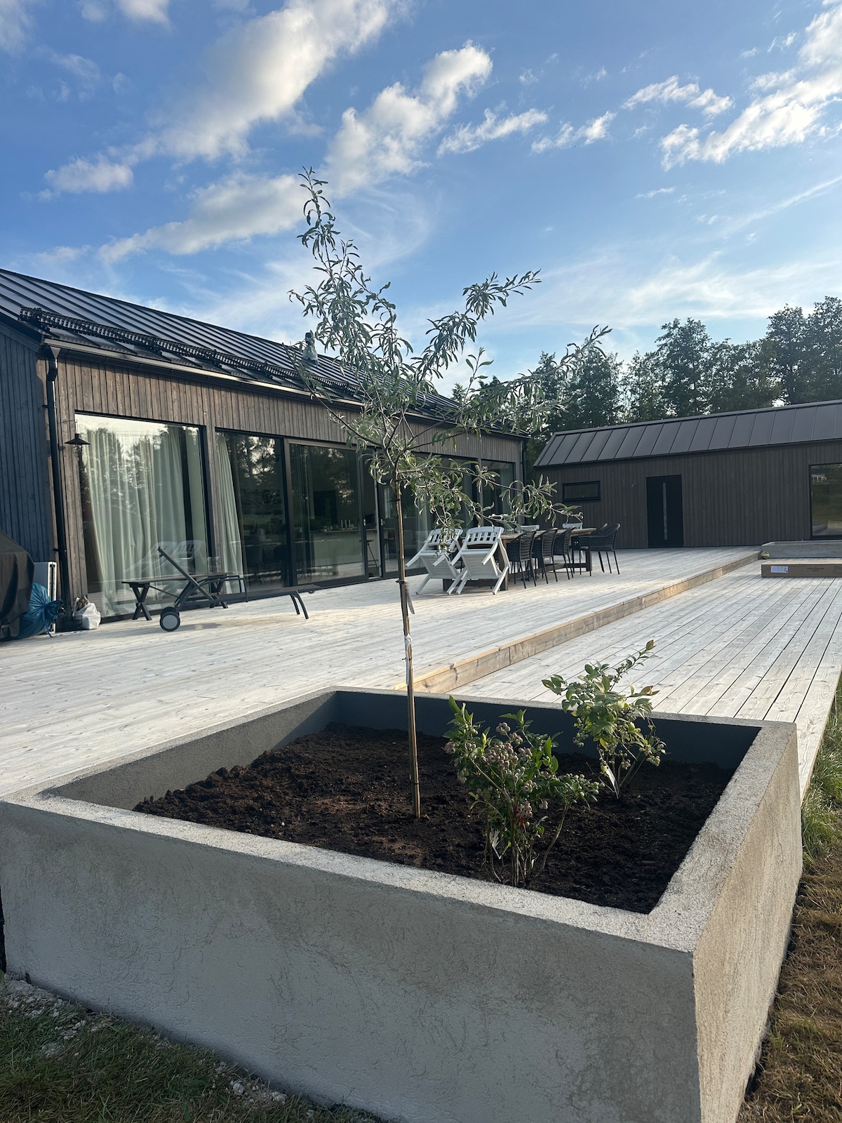 An outdoor area showcases a spacious wooden deck featuring a dining table and chairs. A landscaped planter with young trees and shrubs is positioned in the foreground, while large glass doors reflect the natural surroundings. The house is designed with a modern aesthetic.