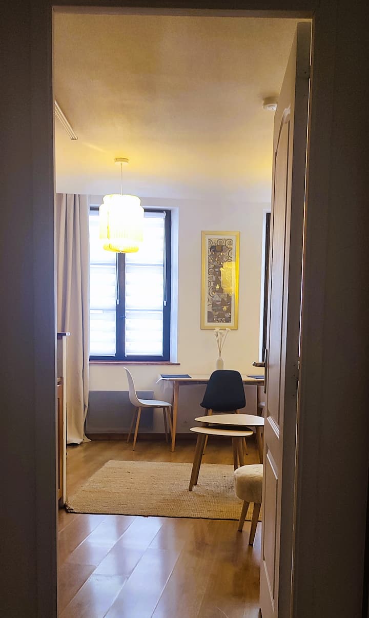 Cosy Appartement Embrun Centre - Lac de Serre-Ponçon