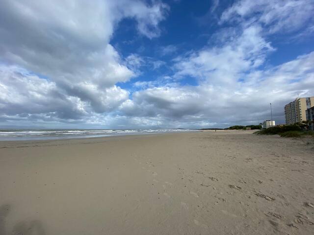 Red Coral @ the Beach gallery image 5