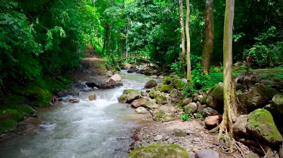 Pond House in the Costa Rican jungle, Parrita, Puntarenas, Costa Rica, photo 7 of 10