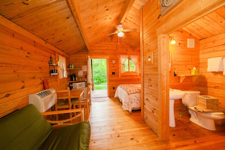 Catharine Cottages (# 3 Waneta) - Finger Lakes, NY
