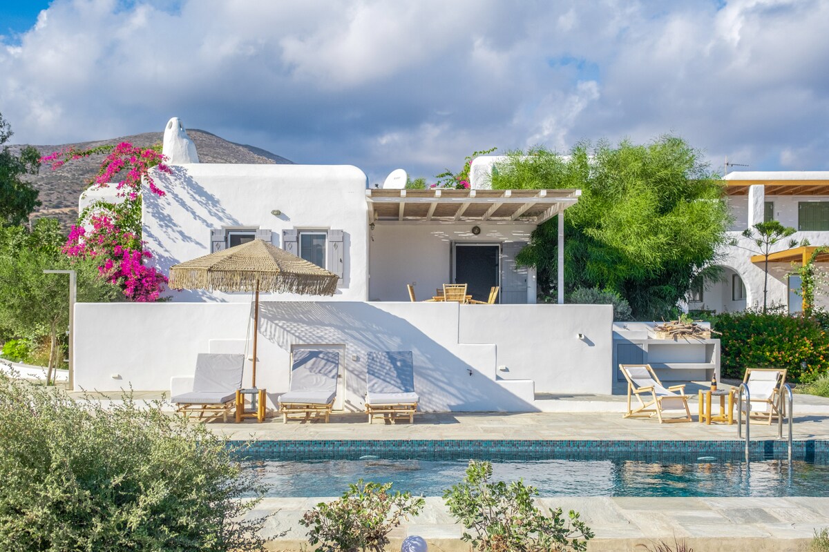 A serene outdoor space features a private swimming pool surrounded by sun loungers, with a thatched umbrella offering shade. Lush greenery and flowering plants add vibrant color to the setting, while the villa's white exterior reflects the natural light beneath a partly cloudy sky.