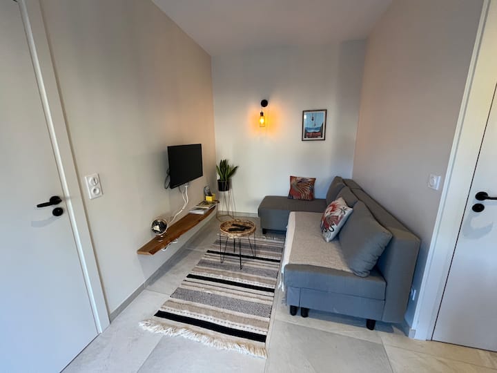 Appartement Classé 3* Avec Terrasse Et Parking - Aix-les-Bains