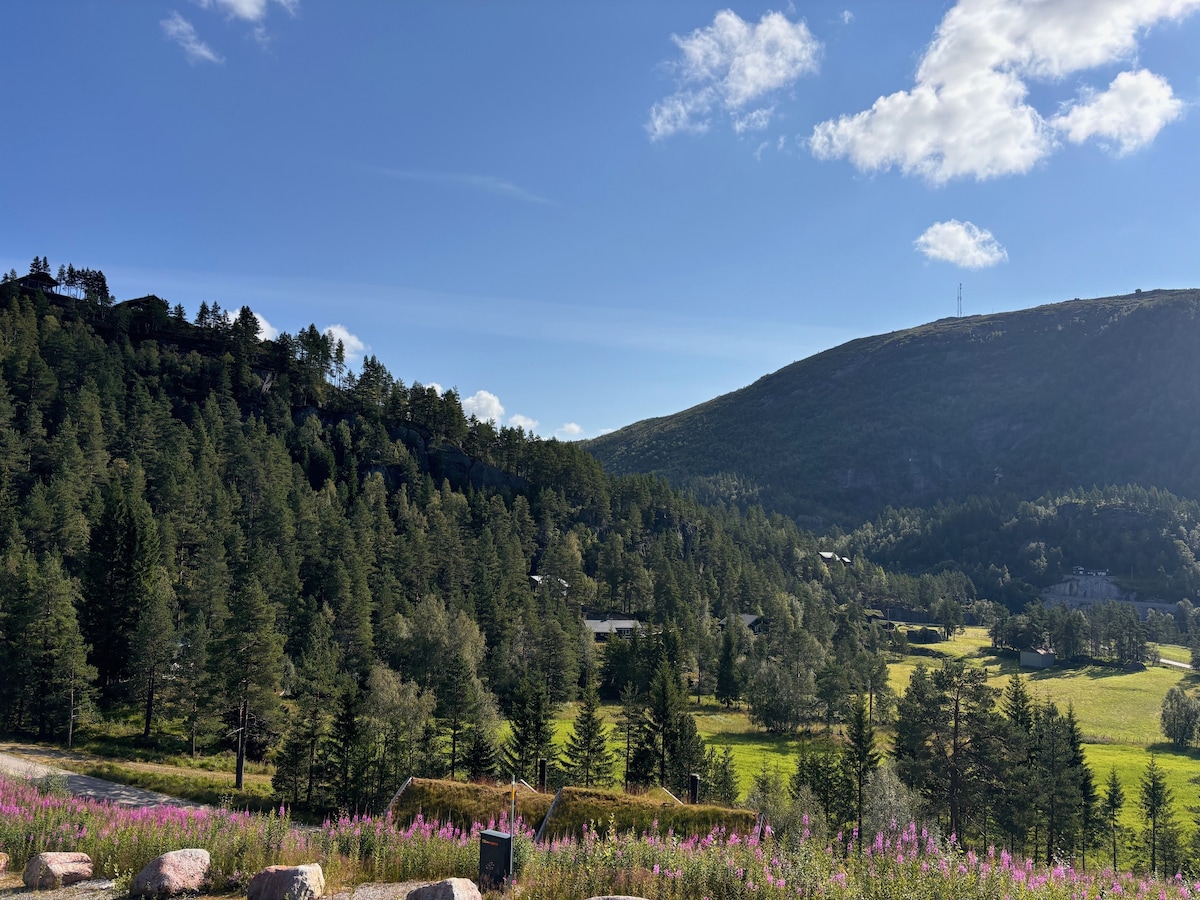 A scenic landscape features rolling hills adorned with dense greenery. Wildflowers bloom vibrantly in the foreground, while the background showcases a mountainous terrain under a clear blue sky, dotted with a few wispy clouds.