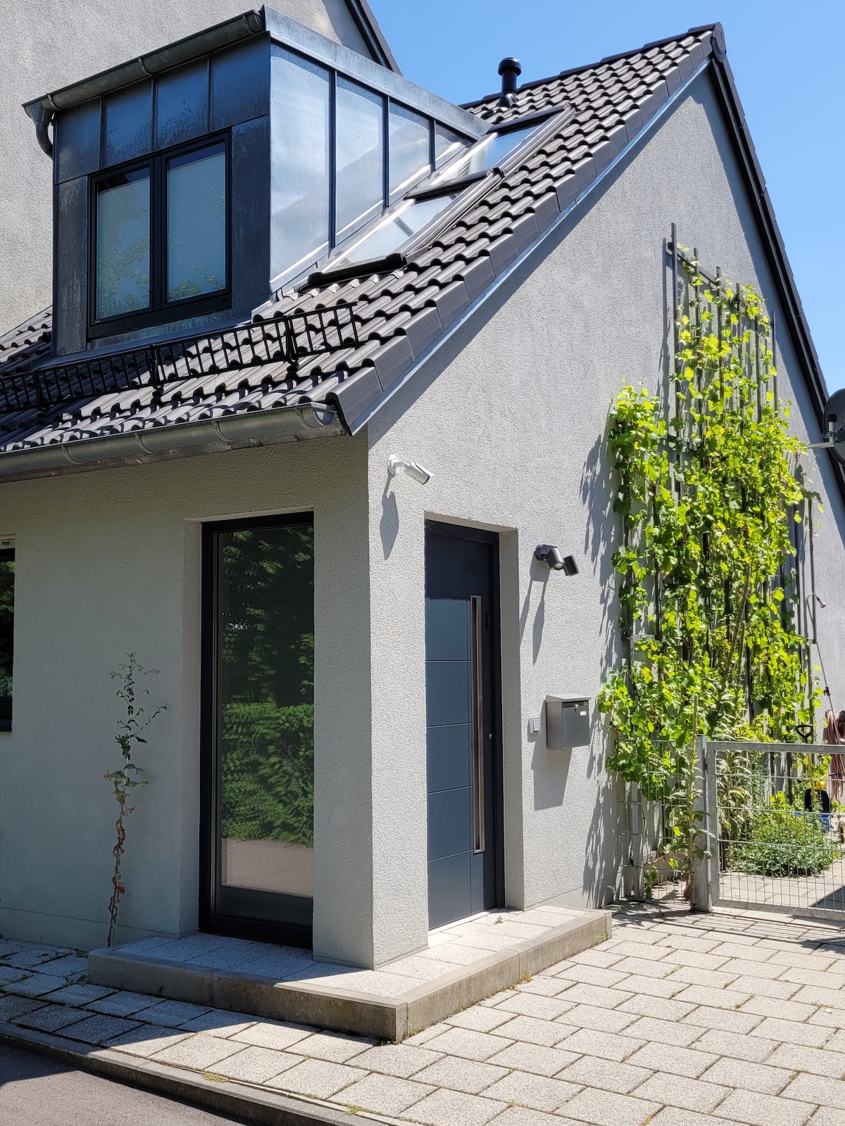 The entrance to a modern-style building is highlighted, featuring a sleek dark door. Windows with black frames allow natural light inside. Climbing green plants adorn one side, while the surrounding area consists of a tiled pathway that leads up to the entrance.