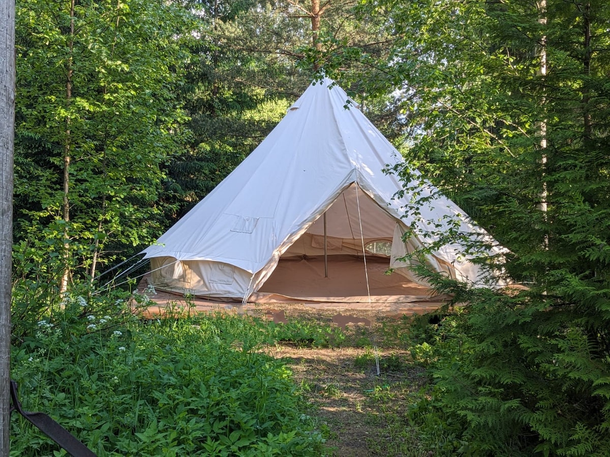 A spacious bell tent is surrounded by lush greenery and tall trees. The tent features a large opening at the front, providing a glimpse of the interior. Natural surroundings create a serene atmosphere, ideal for those seeking a connection with nature.