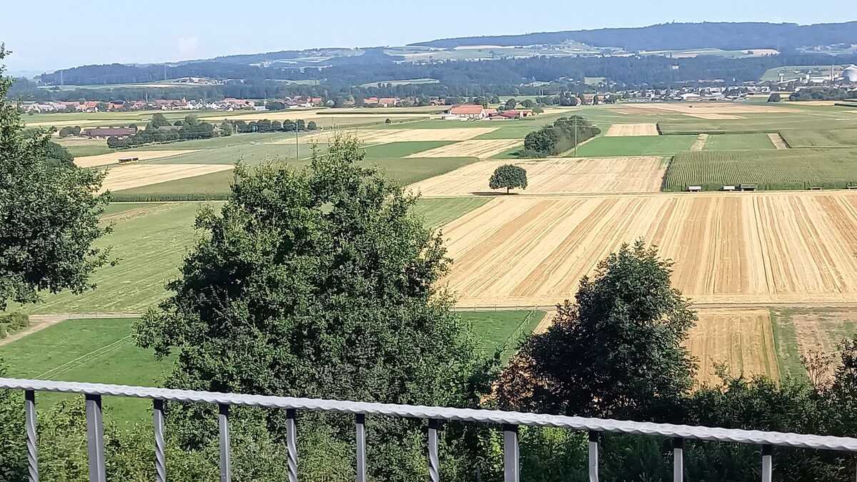A scenic view of rolling fields stretches across the landscape, showcasing a patchwork of golden and green hues. Trees and hedges dot the terrain, while distant hills form a gentle backdrop under a clear blue sky.