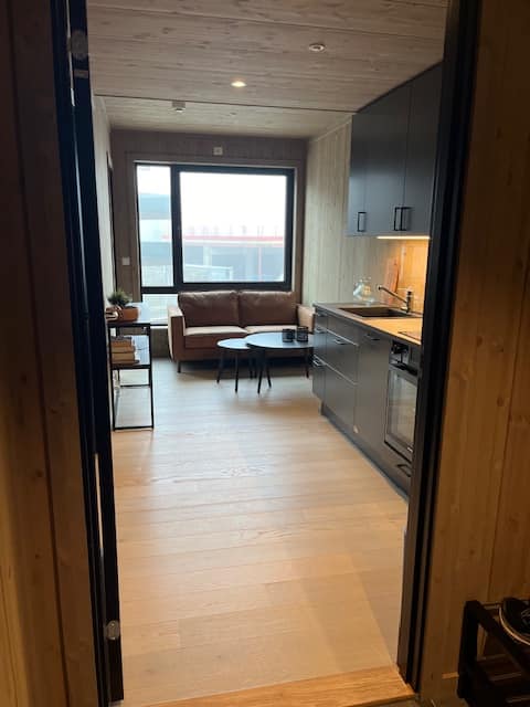Top Airbnb: New apartment on Mosetertoppen in Øyer