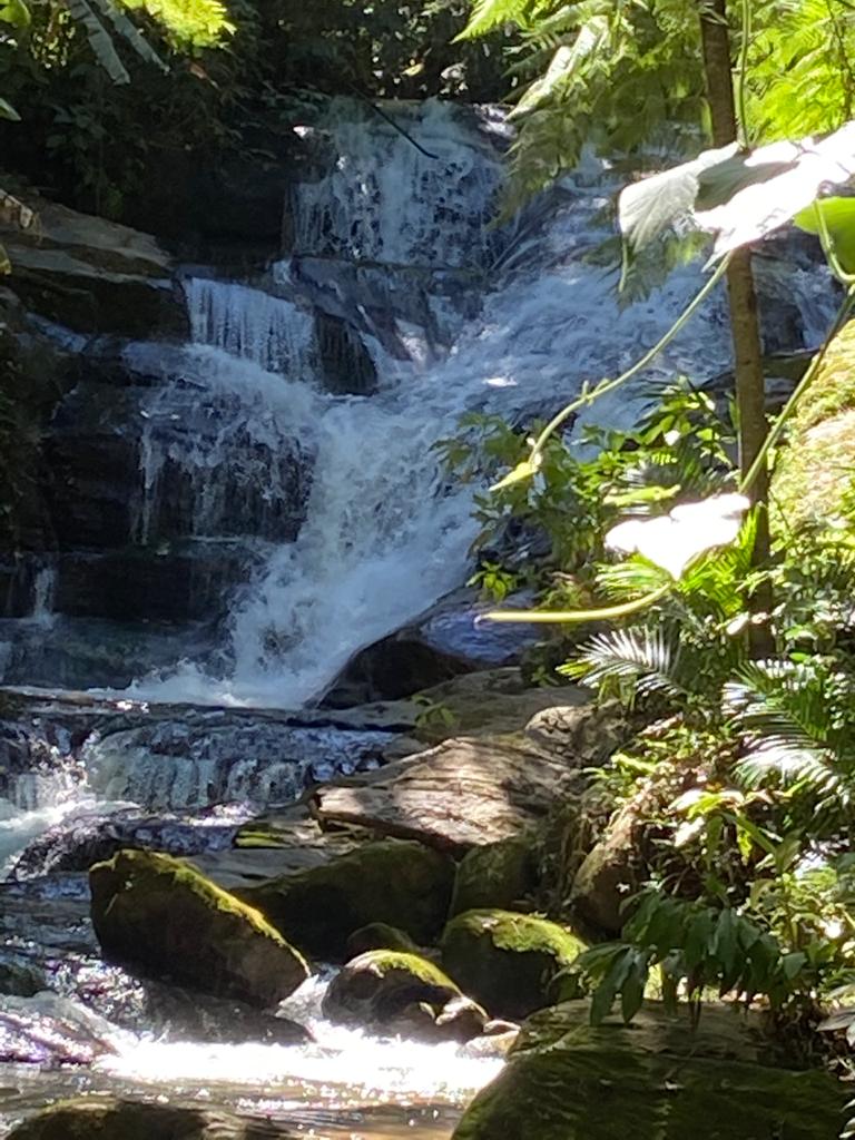A serene waterfall cascades over a series of rocky ledges, surrounded by lush greenery. Sunlight filters through the leaves, highlighting the clear water as it flows into a calm pool. Moss-covered stones are visible along the water’s edge, creating a natural and tranquil setting.