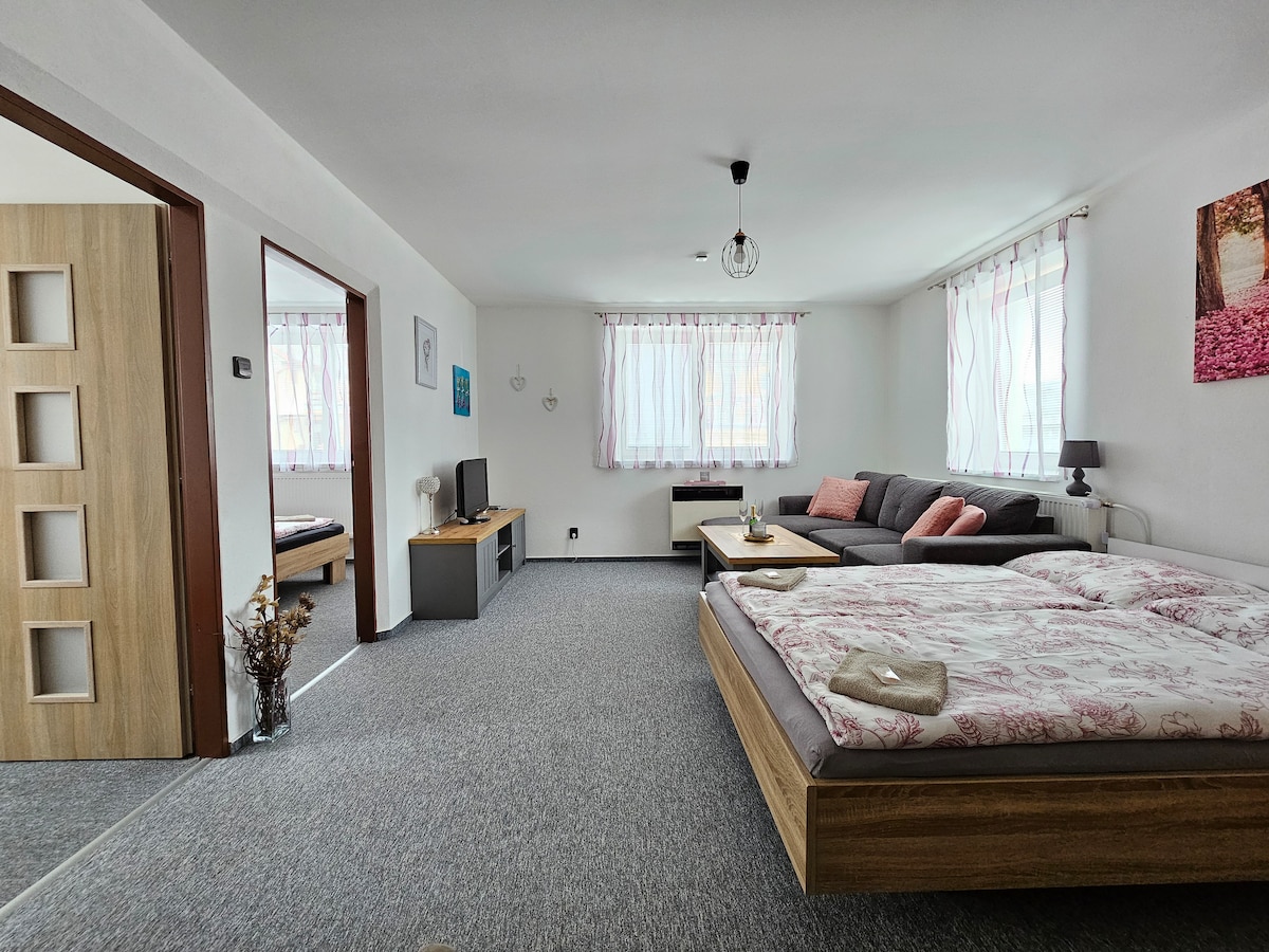 Пространа дневна соба со телевизор на долниот кат.
Брачен кревет со брачен кревет и извлечете го каучот.