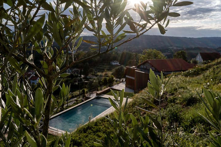 Quinta das Mimosas