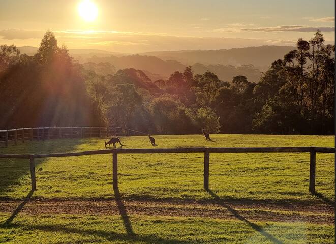 Roo Corner I Private Properties gallery image 4