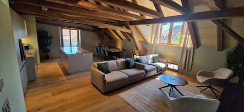 Premium | Swiss | Park | Wash | Cook | 15' City