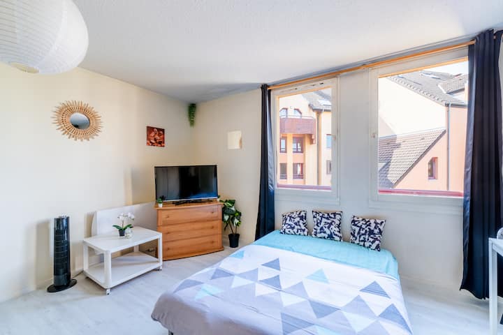 Embnb T2.4 | Cosy T1 à 50m De Genève - Annemasse