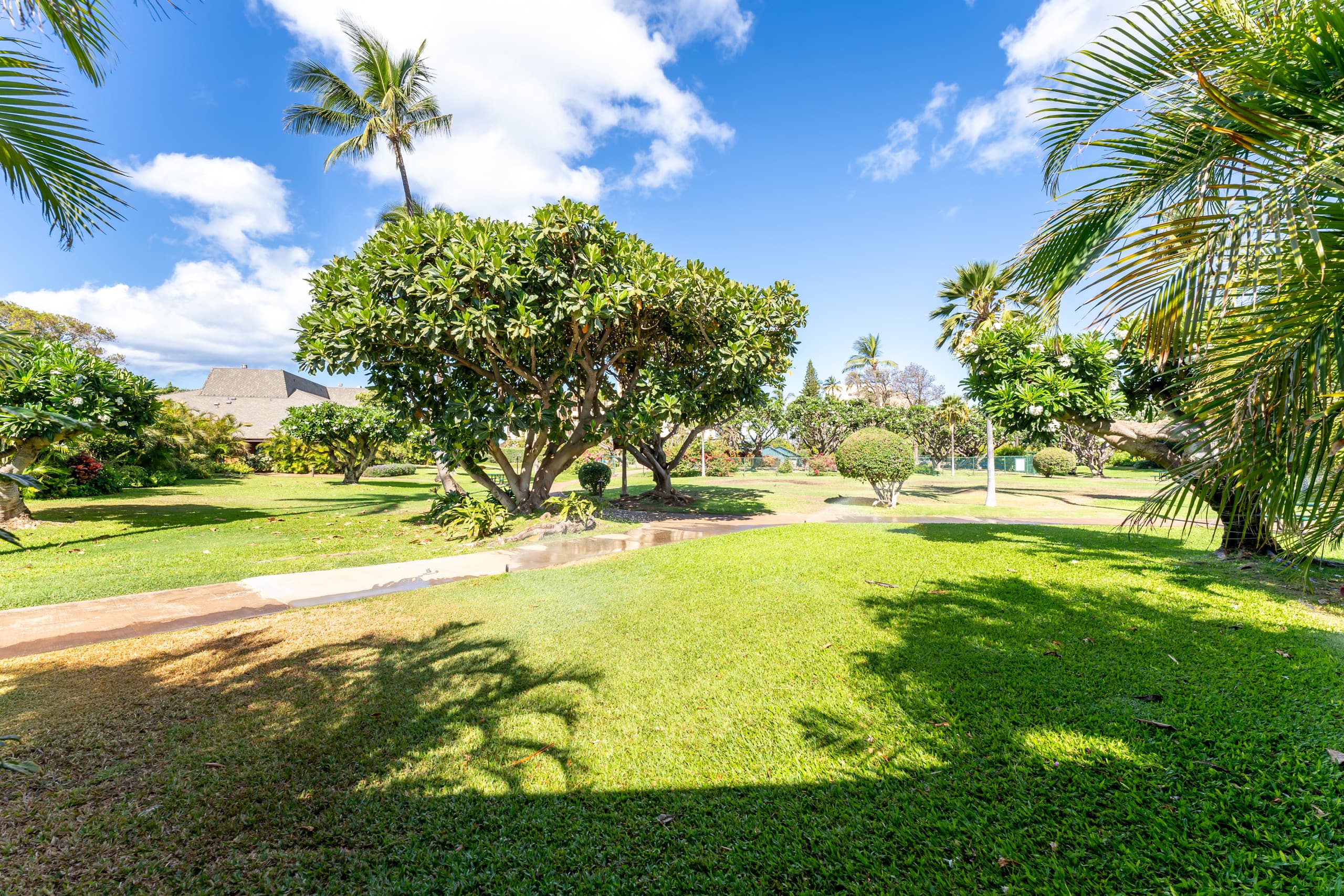 Summer Maui Modern Cute Chic Beach Retreat-sleep 6 - Image 35
