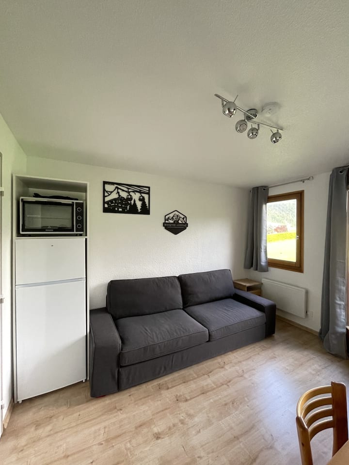 Le Repère Du Nant - Meublé Classé 2* - Morzine