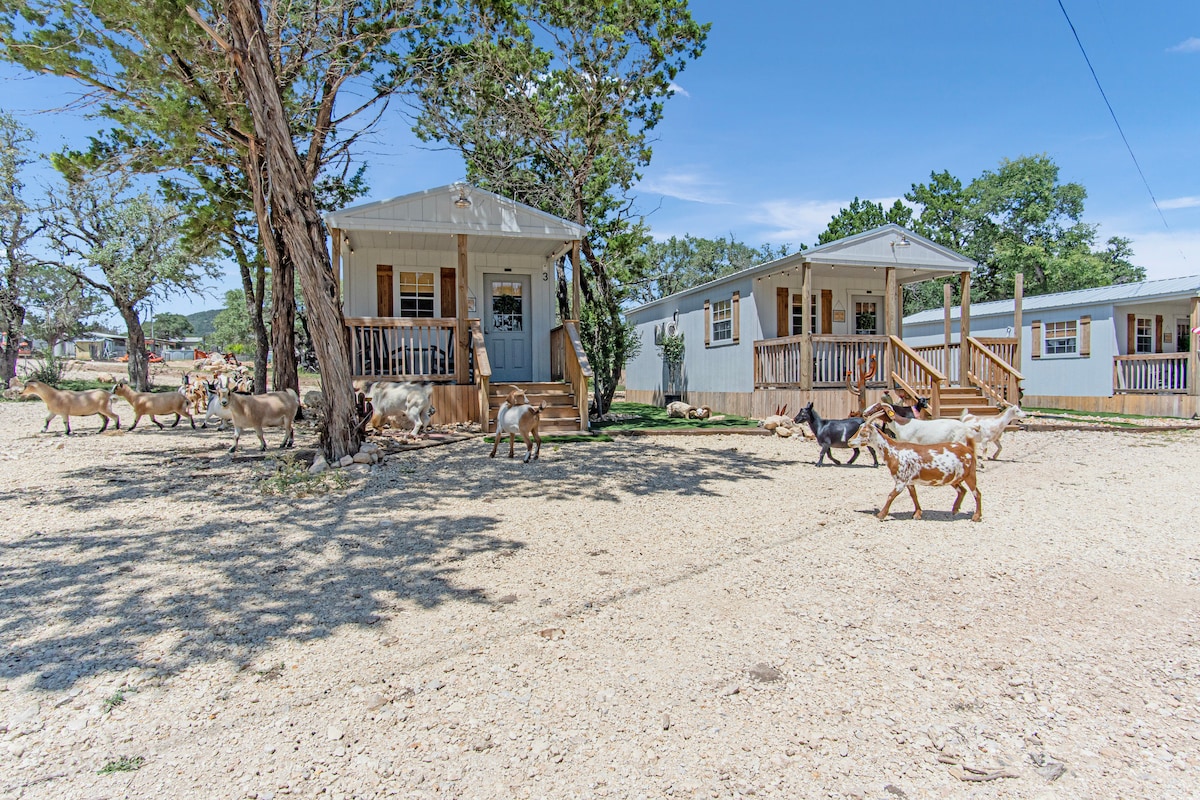 Friendly goats wander around the guest cabins set on a gravel area, with trees providing light shade. The cabins feature welcoming porches and are surrounded by the natural beauty of the Hill Country landscape.