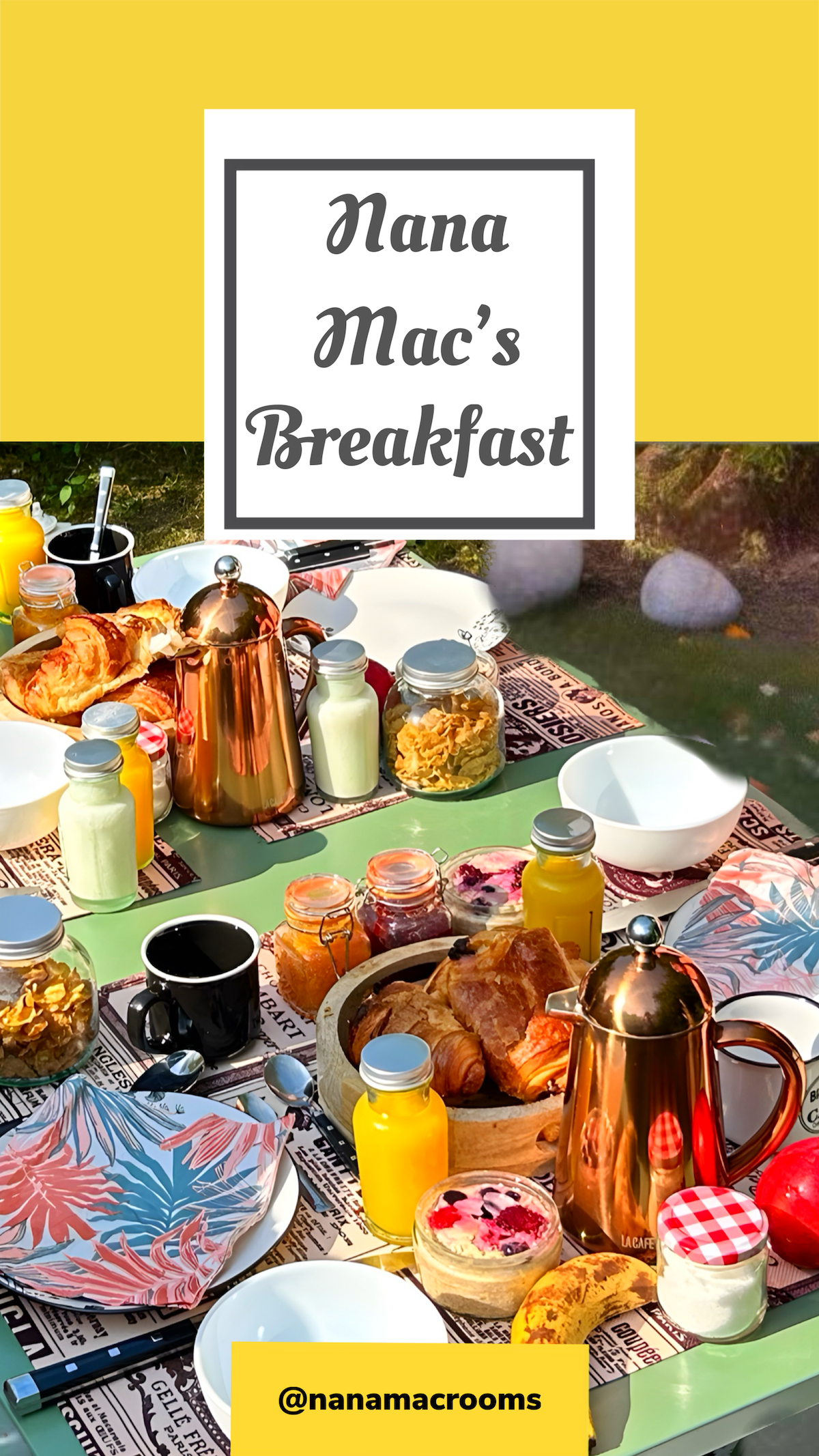 French Farm House & Alpaca Farm - Bed and breakfasts for Rent in  Limalonges, Nouvelle-Aquitaine, France - Airbnb