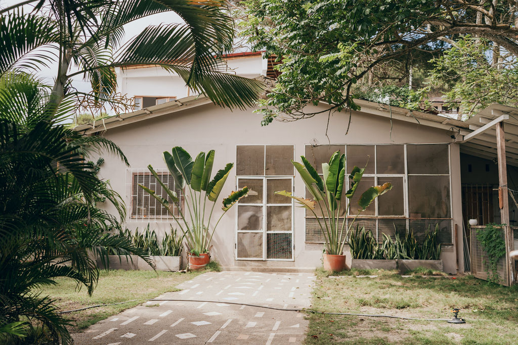 A single-story house is framed by tall green plants and features large windows, allowing for ample natural light. The entrance is accessed via a stone pathway, while the surrounding area showcases well-maintained grass and additional greenery, enhancing the home's inviting exterior.