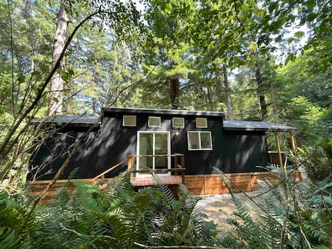 The Black Bear Cabin