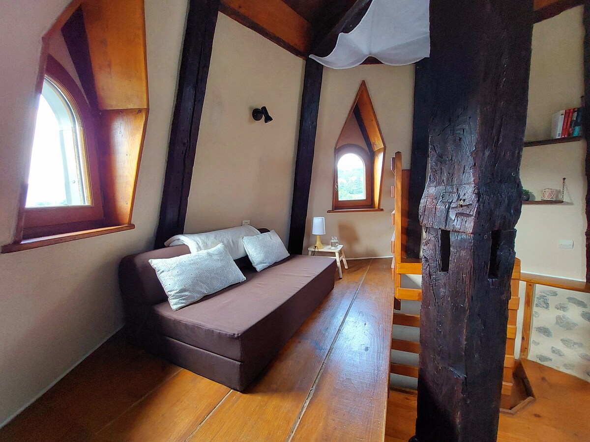 Airbnb performant: Unusual night in the Donjon of the Château d'Uriage à Saint Martin D'uriage