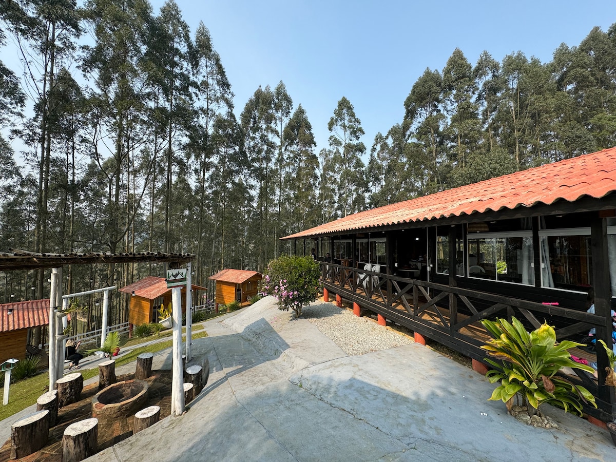 A spacious outdoor area is showcased, featuring a wooden structure with a terracotta roof, surrounded by lush trees. The landscape includes cozy wooden cabins and a circular fire pit framed by logs. A pathway leads through the greenery, enhancing the natural setting.