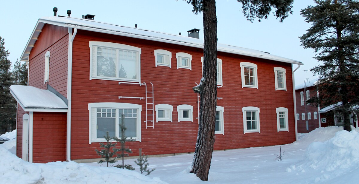 A two-story wooden building is presented, featuring a rich red exterior and white accents. Several windows create a balanced façade, while a ladder is visible on one side. Snow covers the ground, and pine trees frame the structure, adding a natural touch.
