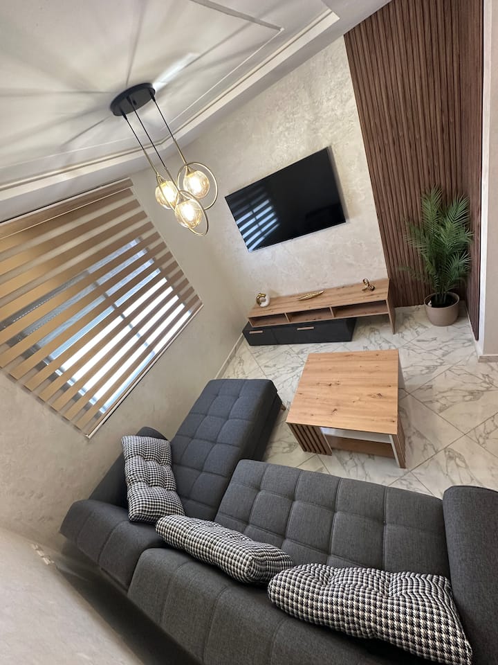 סלון אלגנטי עם טלוויזיה 65 אינץ', ספה שנפתחת למיטה, עיצוב בר אטרקטיבי וצמח ירוק, המספקים אווירה נוחה ומפנקת לשבת ולהירגע עם מראה מודרני ומאורגן.
