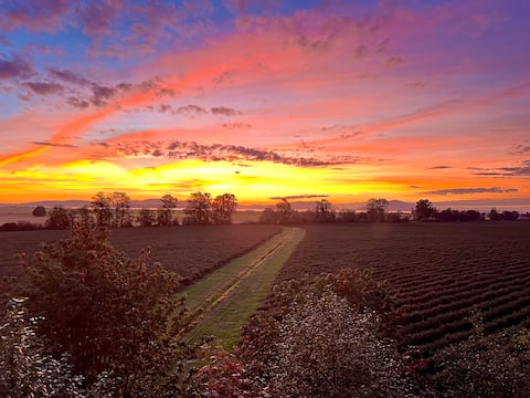 Bow-Edison Paradise Getaway