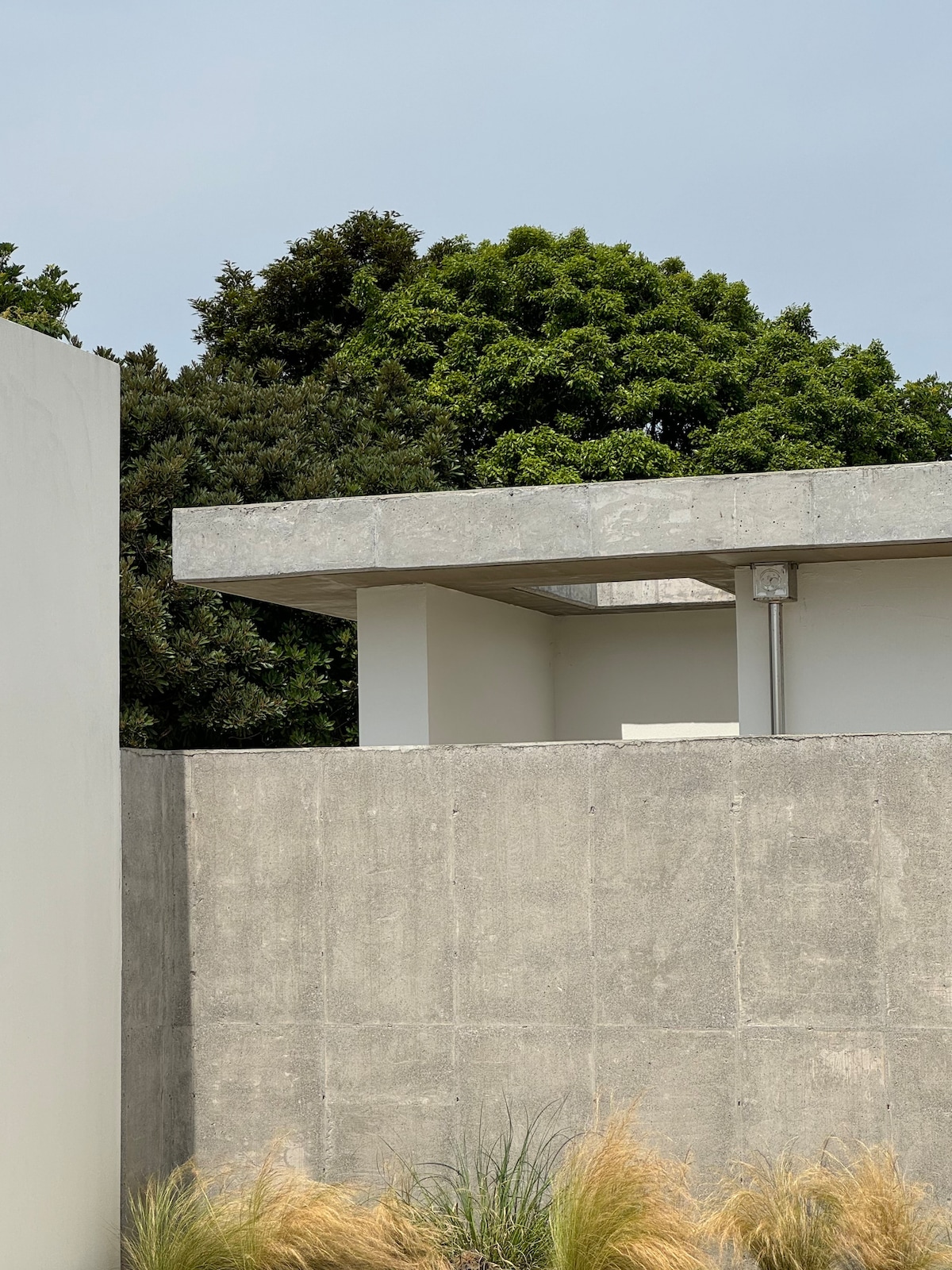 A modern architectural structure is framed within a light gray concrete wall. A minimalist roof extends outward, with lush green trees visible in the background, creating a blend of natural and designed elements.
