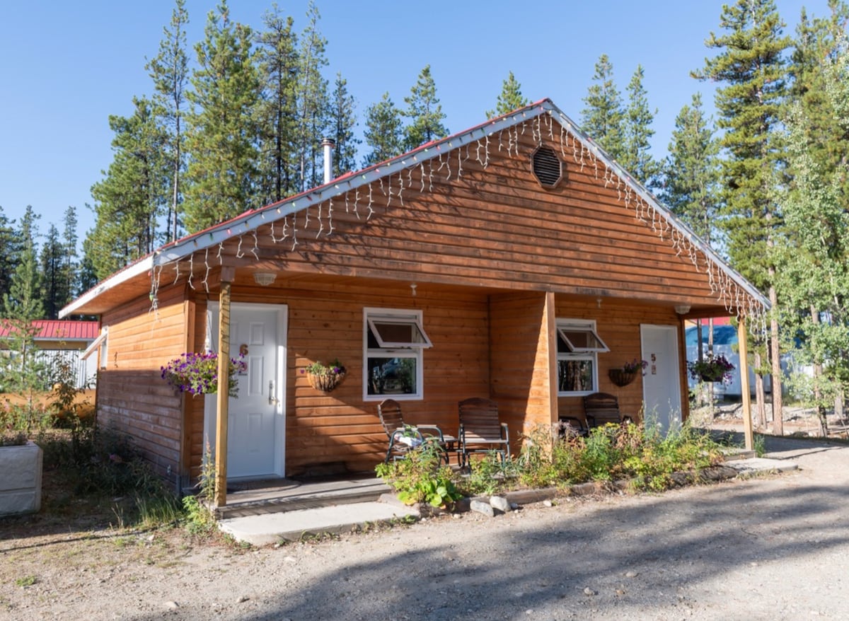 A rustic cabin exterior is shown, featuring wooden siding and a sloped roof. Two welcoming chairs are placed on the porch, alongside potted plants. String lights adorn the eaves, adding subtle charm. Tall green trees surround the cabin, enhancing the natural setting.