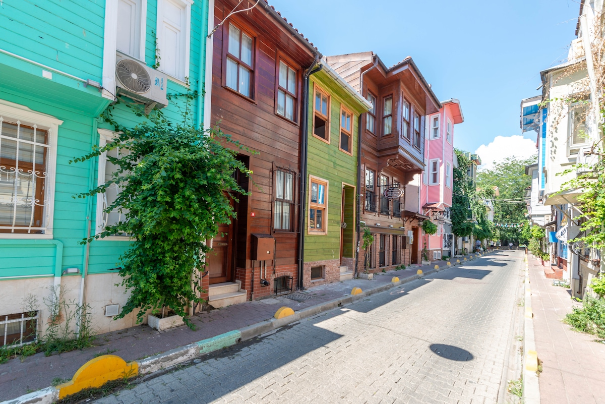 A charming row of colorful houses lines a peaceful street, featuring a mix of wooden and painted facades. Lush greenery is noted in front of the homes, enhancing the inviting street view under clear blue skies.