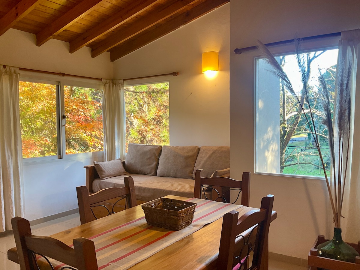 A bright living space features large windows with views of nature and autumn foliage. The seating area includes a cozy sofa and dining table with wooden chairs. Soft lighting from a wall fixture creates a warm ambiance, complemented by natural decor elements like tall grasses.