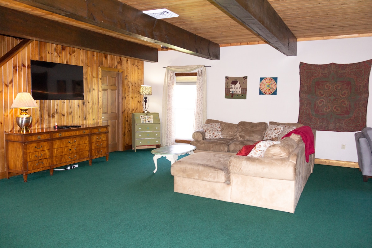 Სახლის ერთადერთი ტელევიზორი მისაღებ ოთახშია. 