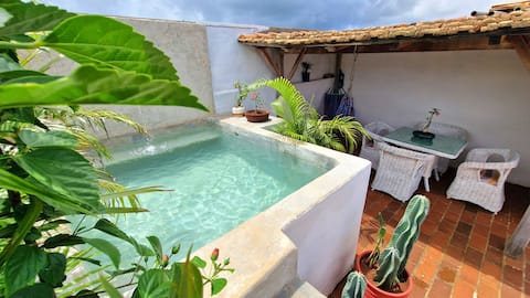 Room with Private Pool/Rooftop in Downtown!