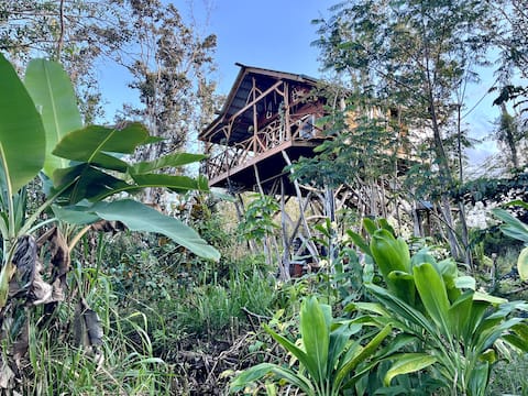 Kilauea. 30min to Volcano and Beaches.Treehouse.