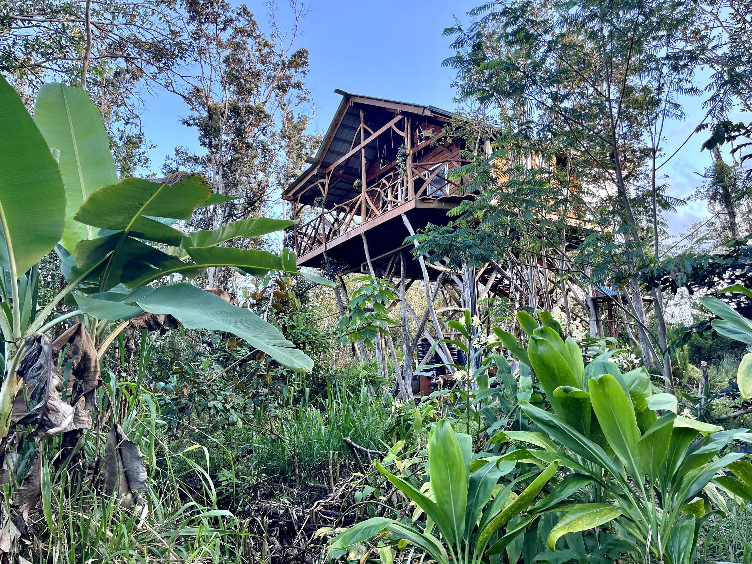 Kilauea. 30min to Volcano and Beaches.Treehouse. - Photo 3