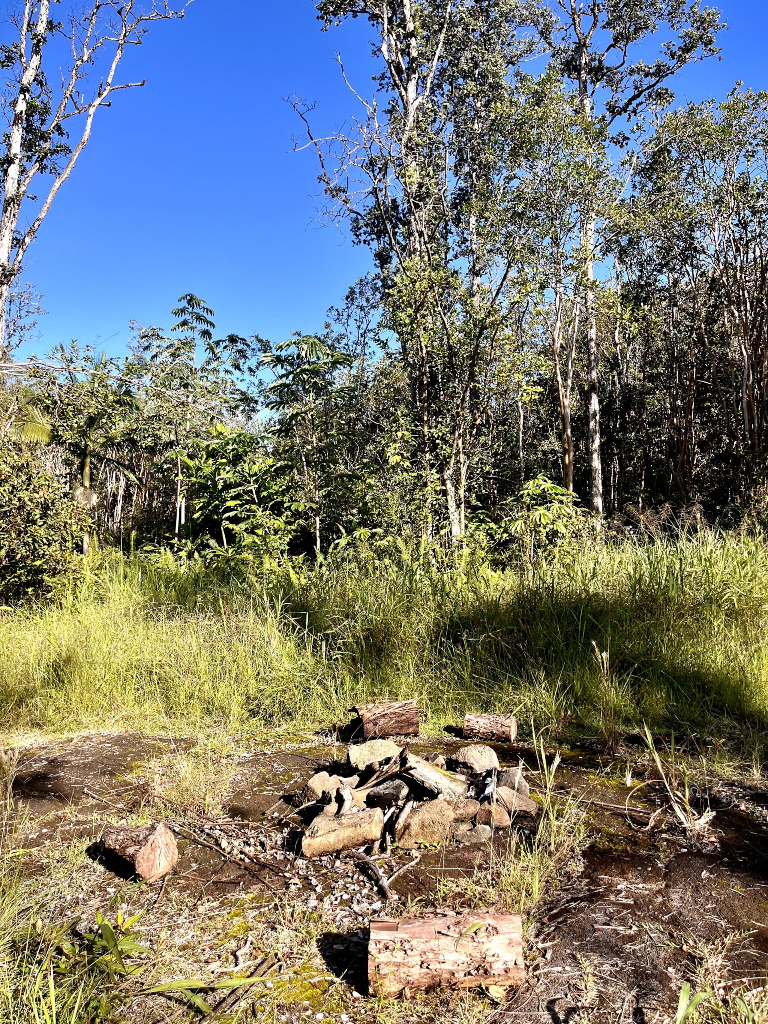 Kilauea. 30min to Volcano and Beaches.Treehouse. - Photo 39