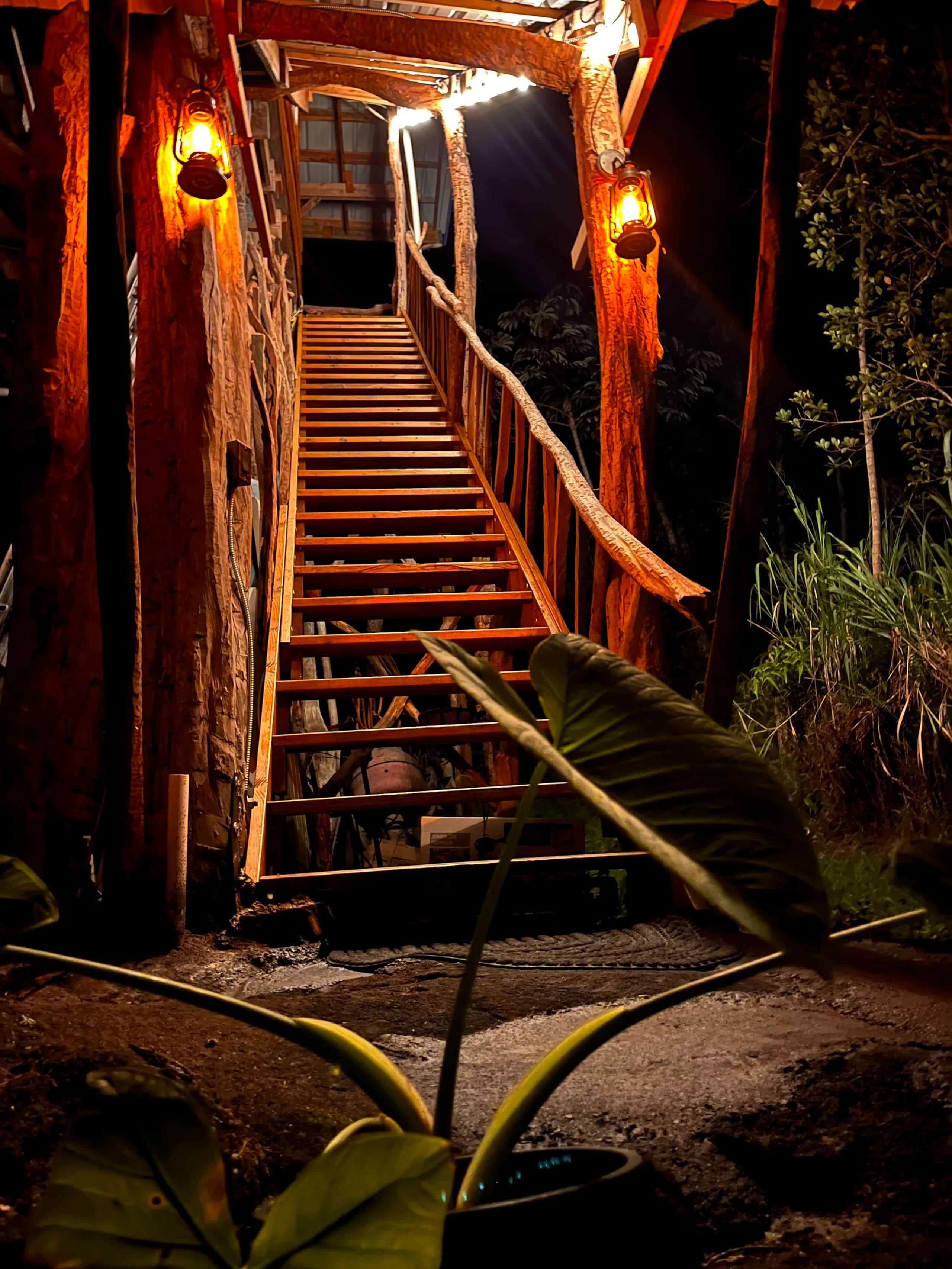 Kilauea. 30min to Volcano and Beaches.Treehouse. - Photo 45