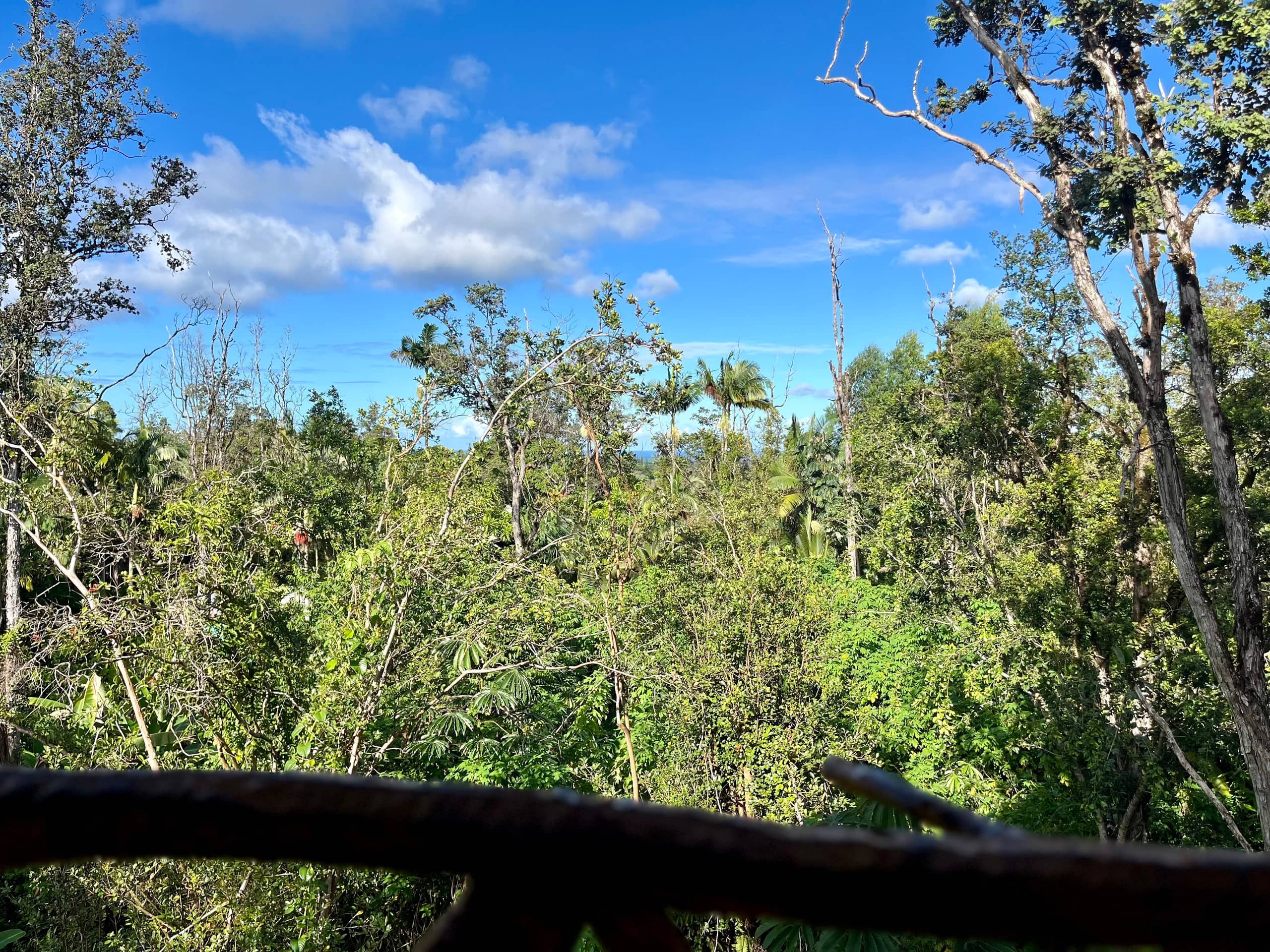 Kilauea. 30min to Volcano and Beaches.Treehouse. - Photo 48