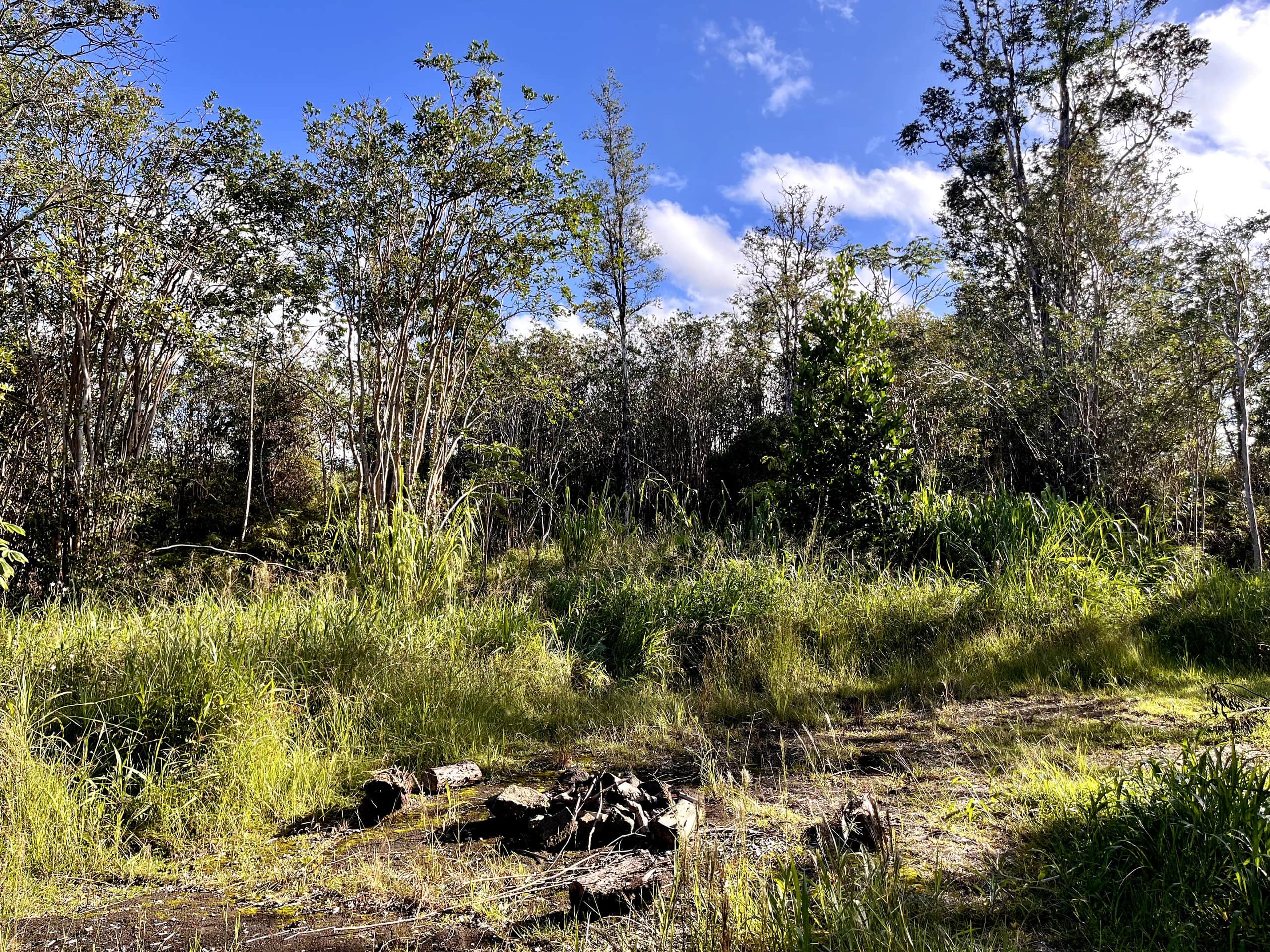 Kilauea. 30min to Volcano and Beaches.Treehouse. - Photo 38