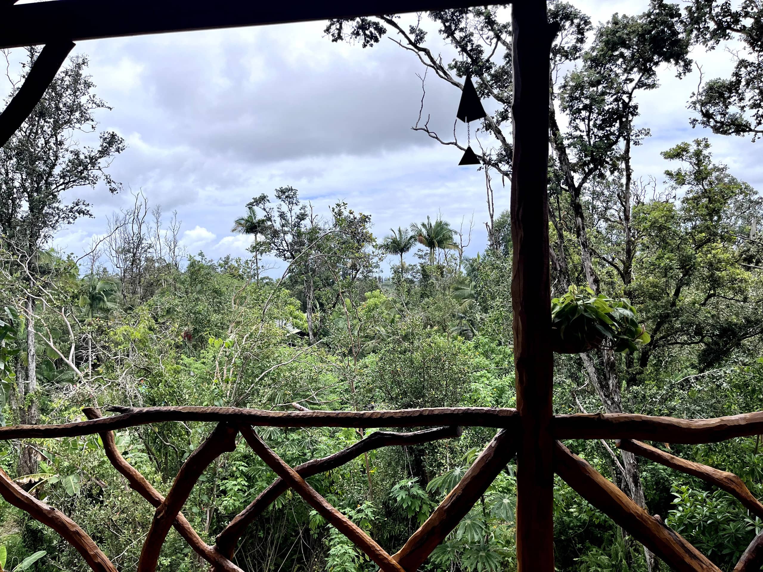 Kilauea. 30min to Volcano and Beaches.Treehouse. - Photo 21