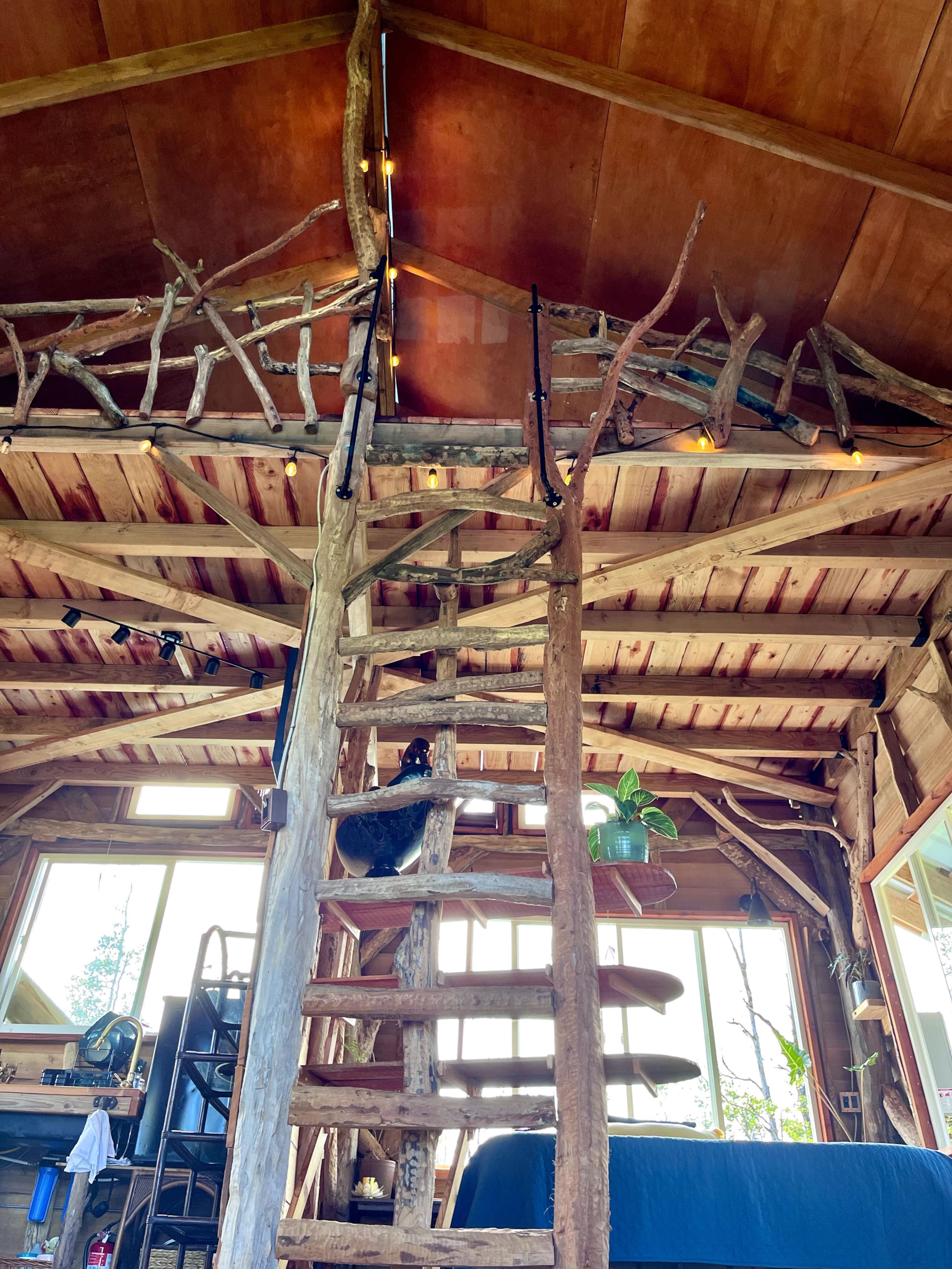 Kilauea. 30min to Volcano and Beaches.Treehouse. - Photo 12